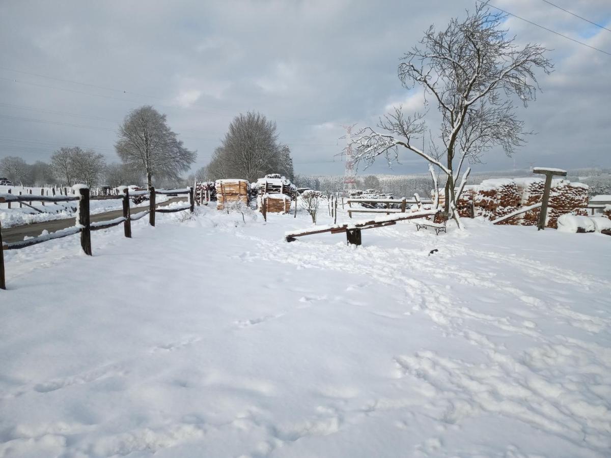 Gite Le Cheval Ardennais Gouvy Εξωτερικό φωτογραφία