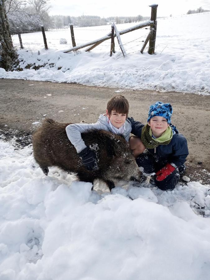Gite Le Cheval Ardennais Gouvy Εξωτερικό φωτογραφία